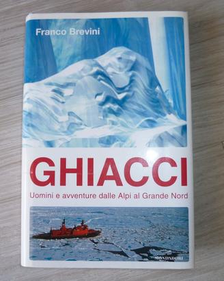 GHIACCI di Franco Brevini