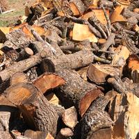 Legna consegna gratuita vostro domicilio