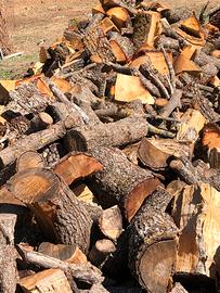 Legna consegna gratuita vostro domicilio