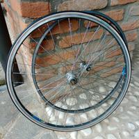 cerchi Nisi mozzi Campagnolo