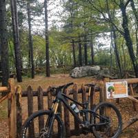 Bici enduro Cube Stereo 150 top di gamma