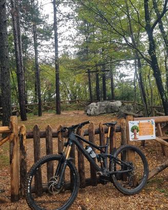 Bici enduro Cube Stereo 150 top di gamma