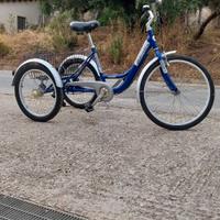 Bicicletta a 3 ruote
