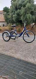 Bicicletta a 3 ruote