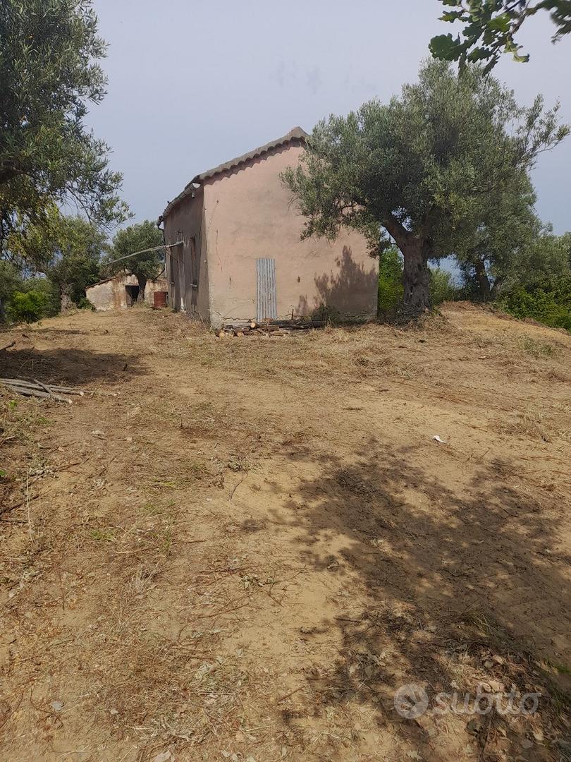 Terreno agricolo con due casolari - Vista 2