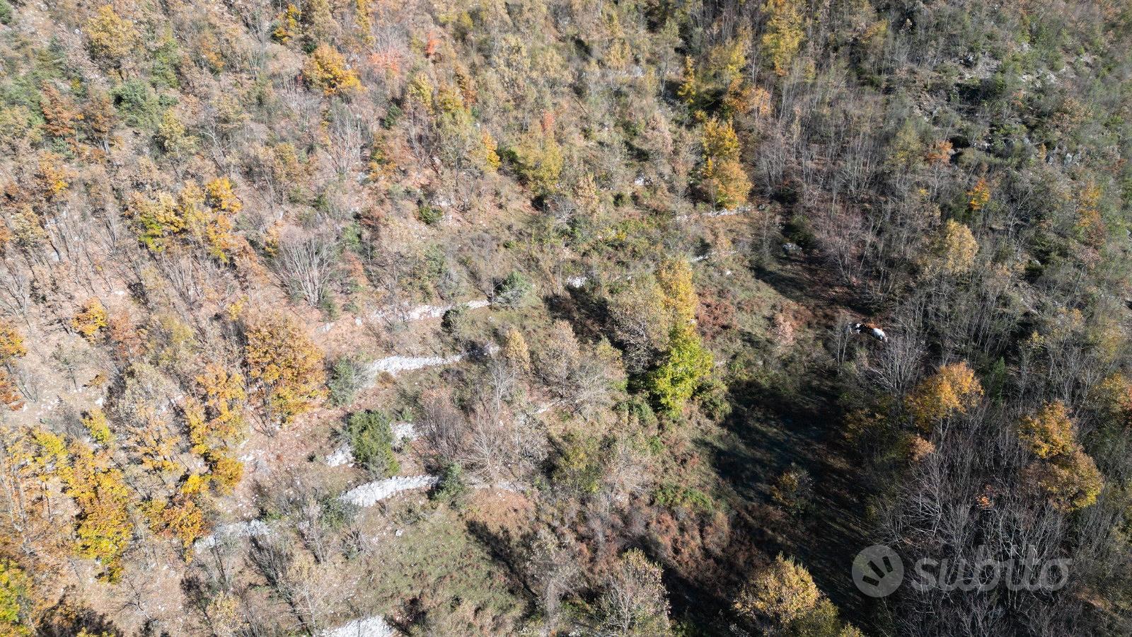 Terreno a Vallepietra - Altro