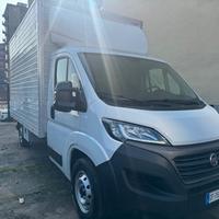 fiat ducato boxato sponda idraulica anno 2021 6d t