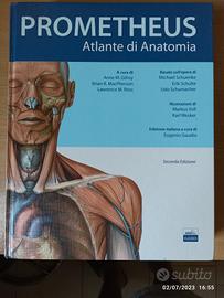 Prometheus Atlante di Anatomia - 2 edizione