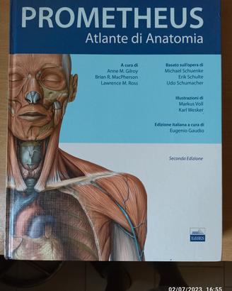Prometheus Atlante di Anatomia - 2 edizione