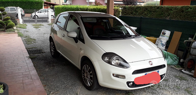 Fiat punto natural power