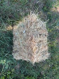 Pressa fieno primo taglio