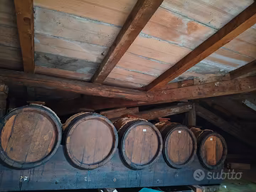 botti per aceto balsamico 