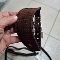 collare e guinzaglio 