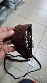 collare e guinzaglio 