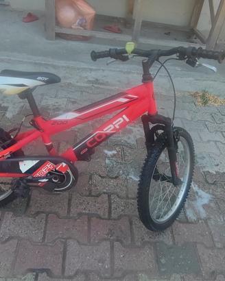bicicletta bambino 
