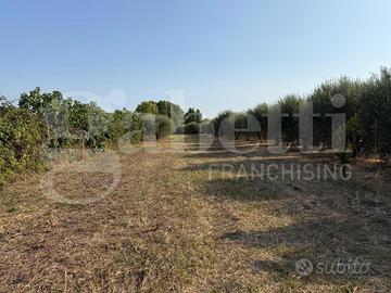Terreno Agricolo Battipaglia [Cod. rif 3332104VRG]
