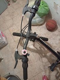 Bicicletta dai 10 anni ragazza