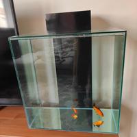 Fluval acquario 46 L