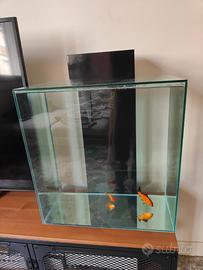 Fluval acquario 46 L