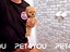Immagine 23
