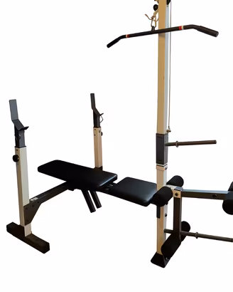 Modello Weider PRO 335