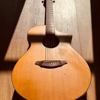 Chitarra acustica Breedlove AC/250