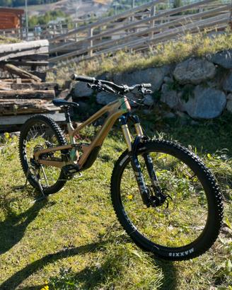 Cannondale jekyll 1 2024