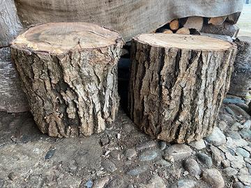 Tronco albero da noce