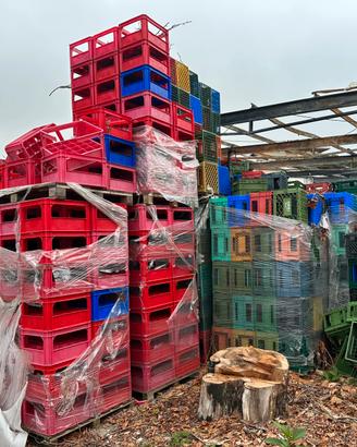 Pallet di plastica