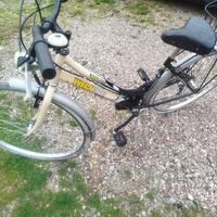 bicicletta da donna 