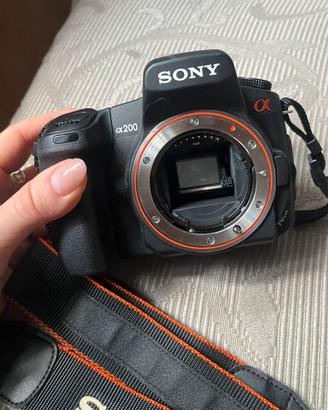 Sony reflex α200 + Sigma DG 70x300 lens
