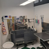 Attività di Toelettatura Avviata - Arredi