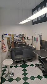 Attività di Toelettatura Avviata - Arredi