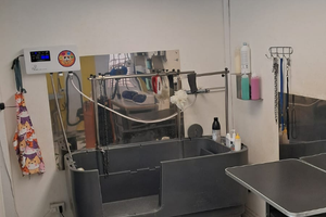 Attività di Toelettatura Avviata - Arredi