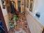 Immagine 14