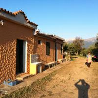 Terreno agricolo con casa, pozzo, olivi e vigna a