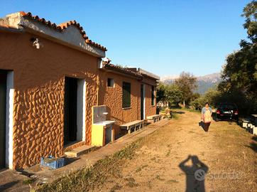 Terreno agricolo con casa, pozzo, olivi e vigna a