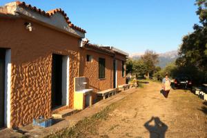 Terreno agricolo con casa, pozzo, olivi e vigna a