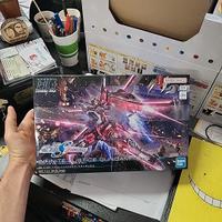 GUNDAM - 1/144 Infinite Justice Gundam Type II Mod
