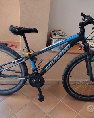 Bicicletta sovrano