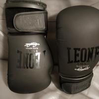 Boxe Leone 