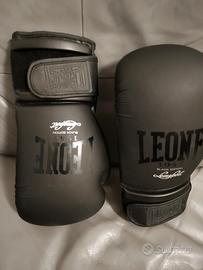 Boxe Leone 