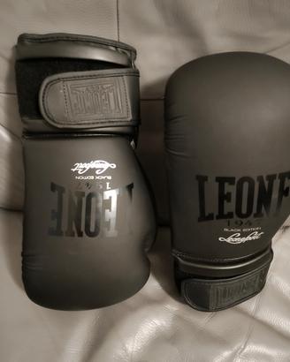 Boxe Leone  più Kit,  borsa, casco, guanti,para st