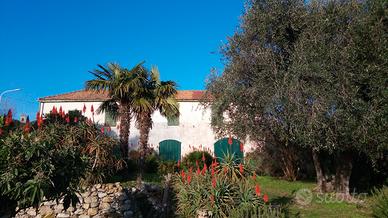San Bartolomeo al mare, casa indipendente