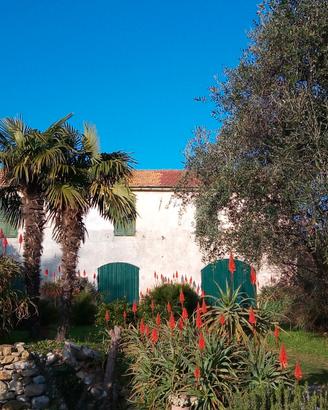 Ultimo minuto, casa a S.Bartolomeo al mare