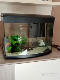 Acquario  set completo 