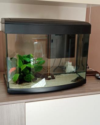 Acquario  set completo 