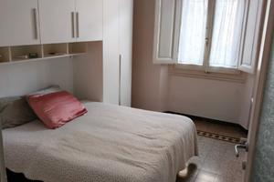 Stana singola Statuto - Firenze 500