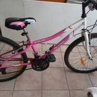 Bici ragazza bimba Regina 24