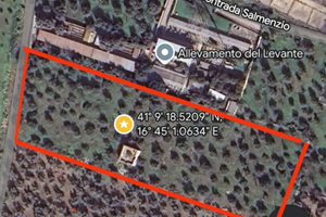 TERRENO EDIFICABILE sito in S. SPIRITO (BA)